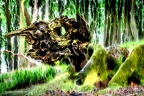 Photoart