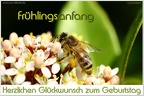 Geburtstag Frühling (1361 Besuche) Geburtstag Frühling