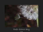 Finde deinen  Weg (1484 Besuche) Finde deinen  Weg