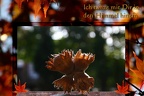 Herbsttango